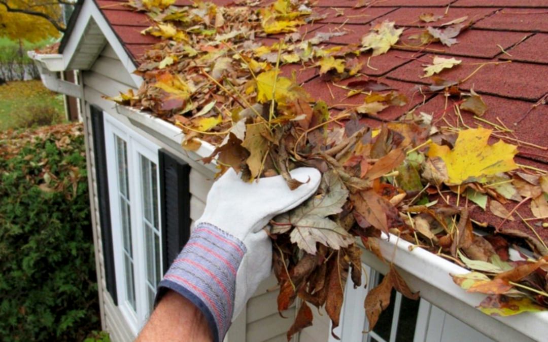 Gutter Cleaning Cost in the UK – Everything You Need to Know 