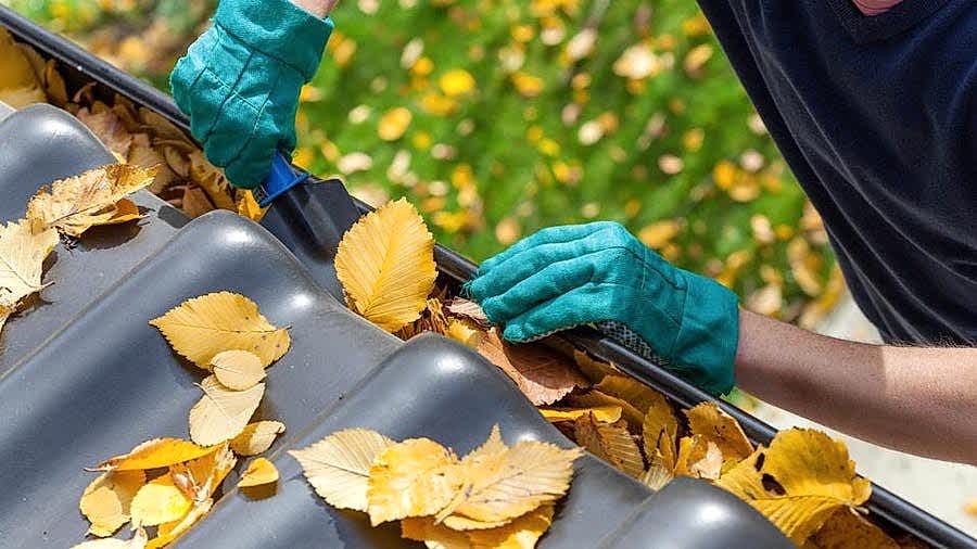 Gutter Cleaning Service